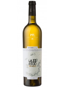 Leat 6500 The Origin Pinot Gris 2017 | M1.Crama Atelier | Murfatlar